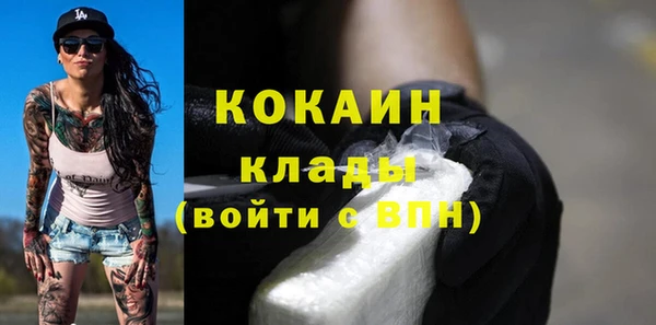 стаф Пересвет