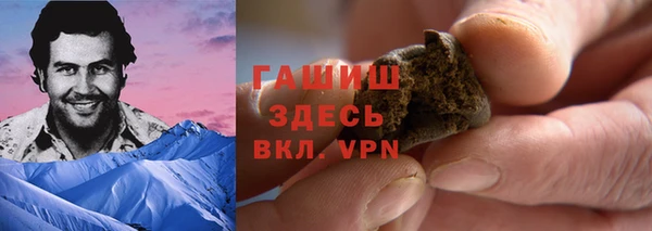 стаф Пересвет