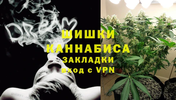 стаф Пересвет
