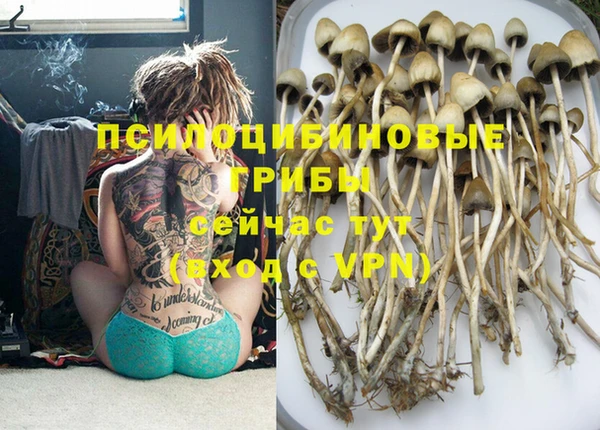 MDMA Переславль-Залесский
