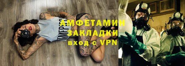 стаф Пересвет