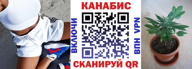 Бошки Шишки SATIVA & INDICA  купить наркоту  Рыльск 